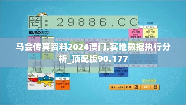 马会传真资料2024澳门,实地数据执行分析_顶配版90.177