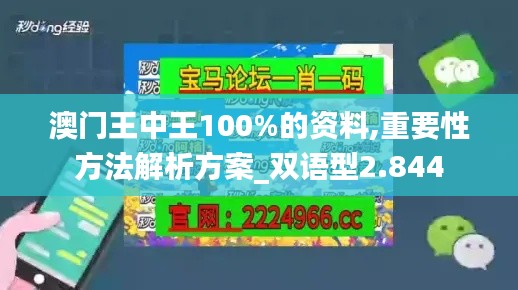 澳门王中王100%的资料,重要性方法解析方案_双语型2.844