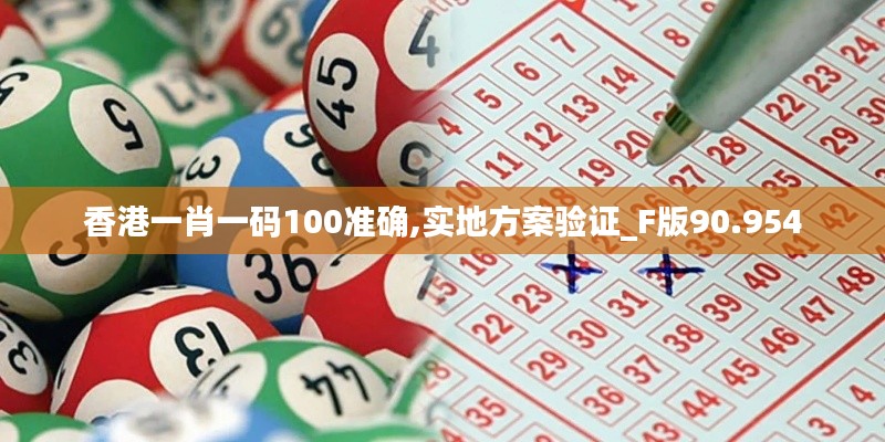 香港一肖一码100准确,实地方案验证_F版90.954