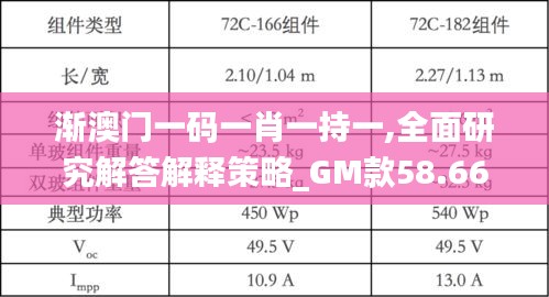 渐澳门一码一肖一持一,全面研究解答解释策略_GM款58.669