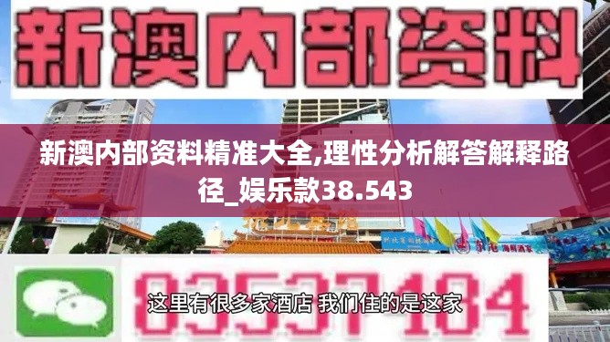 新澳内部资料精准大全,理性分析解答解释路径_娱乐款38.543