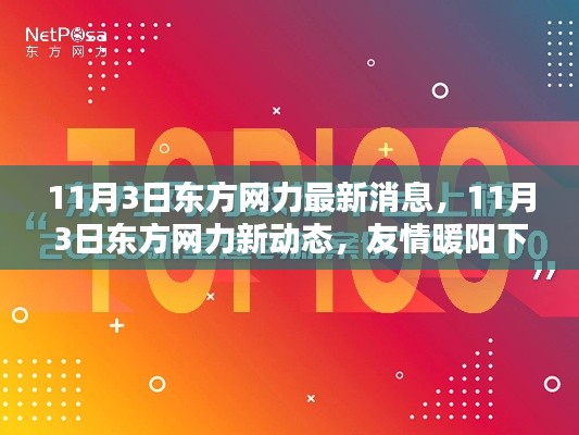 友情暖阳下的温馨日常，东方网力最新动态揭秘（11月3日更新）