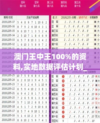 澳门王中王100%的资料,实地数据评估计划_DP79.104