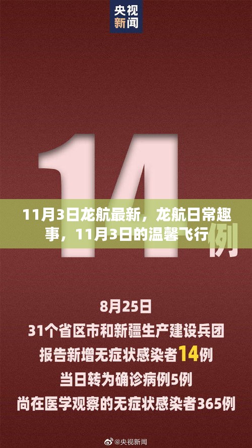 龙航日常趣事与温馨飞行体验——11月3日最新报道