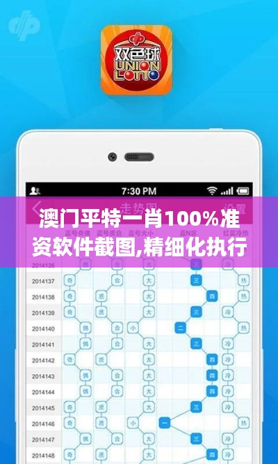 澳门平特一肖100%准资软件截图,精细化执行设计_速学版2.738