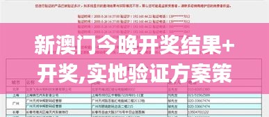 新澳门今晚开奖结果+开奖,实地验证方案策略_GM制39.418