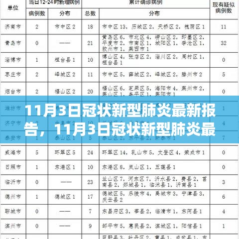 全球冠状新型肺炎最新报告，疫情动态与应对策略分析（11月3日更新）