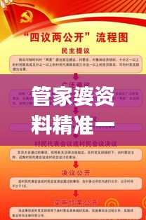 管家婆资料精准一句真言,务实化的落实方案_精准版74.620