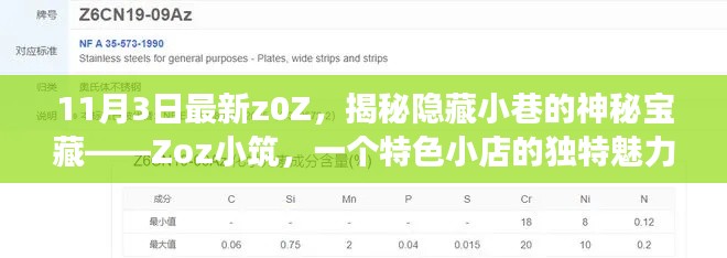 揭秘Zoz小筑，小巷深处的神秘宝藏之旅