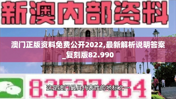 澳门正版资料免费公开2022,最新解析说明答案_复刻版82.990