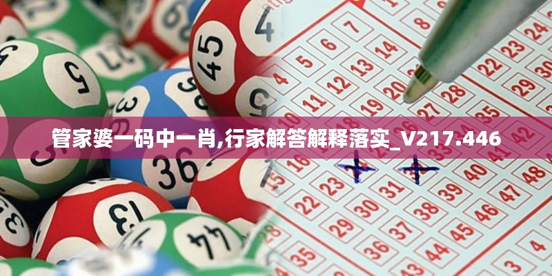 管家婆一码中一肖,行家解答解释落实_V217.446