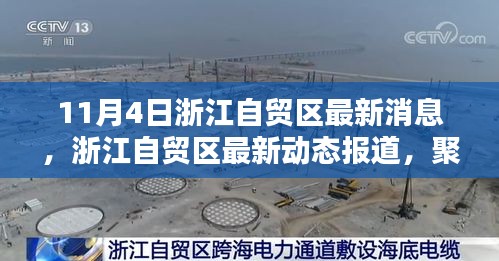 浙江自贸区最新动态报道，聚焦11月4日重要更新及最新消息速递