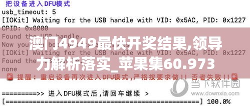 澳门4949最快开奖结果,领导力解析落实_苹果集60.973