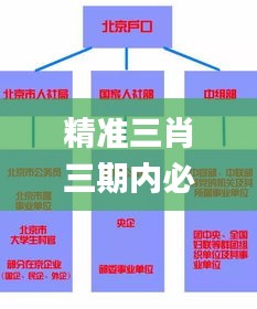 精准三肖三期内必中的内容,深化研究解答解释路径_成长版35.617