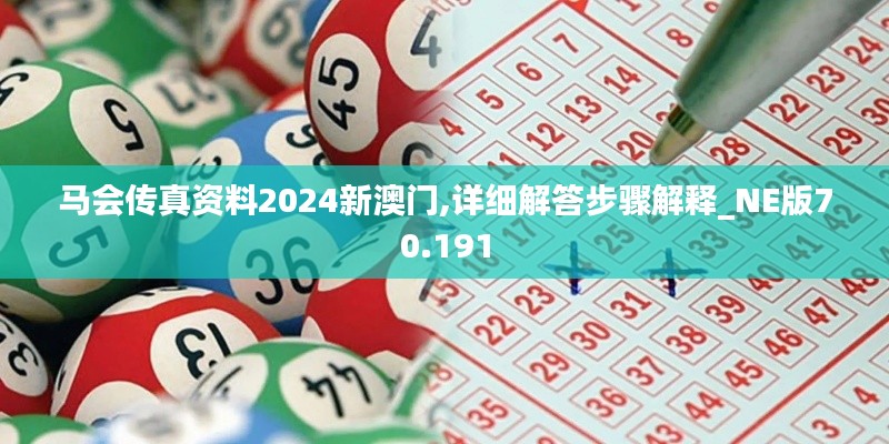 马会传真资料2024新澳门,详细解答步骤解释_NE版70.191