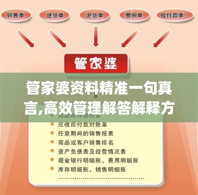 管家婆资料精准一句真言,高效管理解答解释方案_休闲集26.378