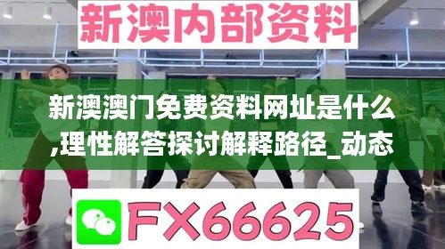 新澳澳门免费资料网址是什么,理性解答探讨解释路径_动态版36.748