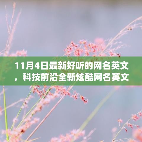 最新高科技产品亮相，体验未来生活方式的转变，精选炫酷英文网名推荐