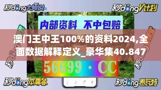 澳门王中王100%的资料2024,全面数据解释定义_豪华集40.847