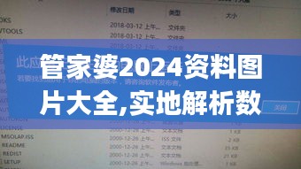 管家婆2024资料图片大全,实地解析数据考察_高档版9.902