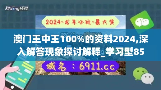 澳门王中王100%的资料2024,深入解答现象探讨解释_学习型85.24