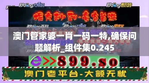 澳门管家婆一肖一码一特,确保问题解析_组件集0.245