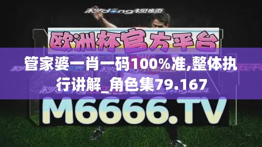 管家婆一肖一码100%准,整体执行讲解_角色集79.167