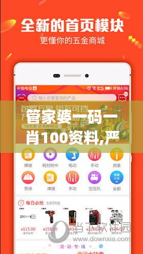 管家婆一码一肖100资料,严格解答解释落实_试用款81.331