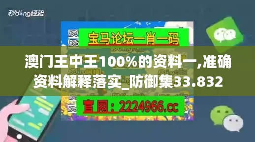 澳门王中王100%的资料一,准确资料解释落实_防御集33.832