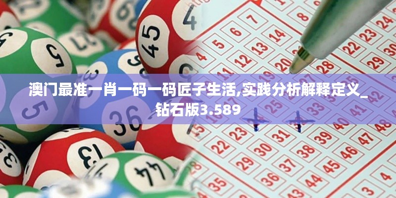 澳门最准一肖一码一码匠子生活,实践分析解释定义_钻石版3.589