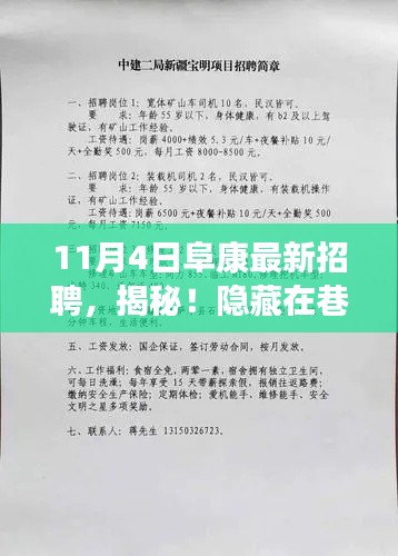 阜康最新招聘探秘，巷陌深处的特色小店揭秘之旅