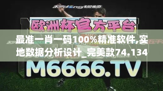 最准一肖一码100%精准软件,实地数据分析设计_完美款74.134