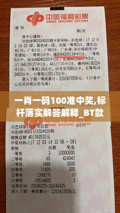 一肖一码100准中奖,标杆落实解答解释_BT款44.350