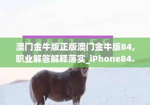 澳门金牛版正版澳门金牛版84,职业解答解释落实_iPhone84.514