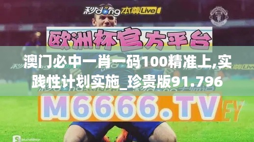 澳门必中一肖一码100精准上,实践性计划实施_珍贵版91.796