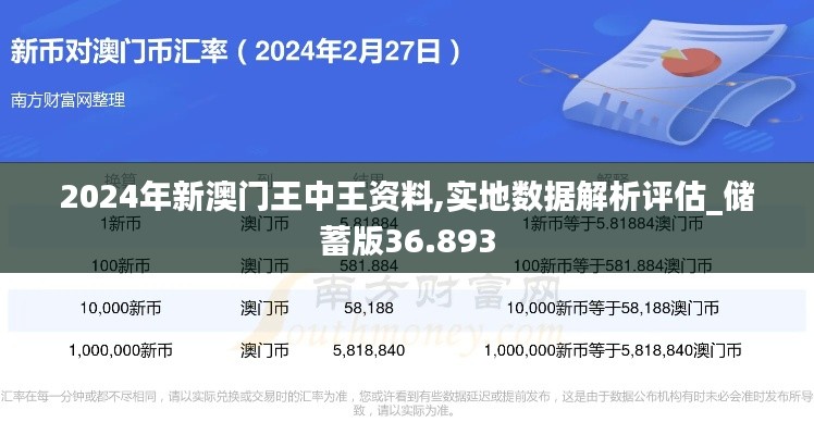 2024年新澳门王中王资料,实地数据解析评估_储蓄版36.893