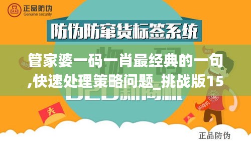 管家婆一码一肖最经典的一句,快速处理策略问题_挑战版15.226