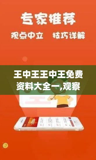 王中王王中王免费资料大全一,观察解答解释落实_投资款10.882