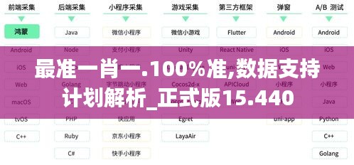 最准一肖一.100%准,数据支持计划解析_正式版15.440