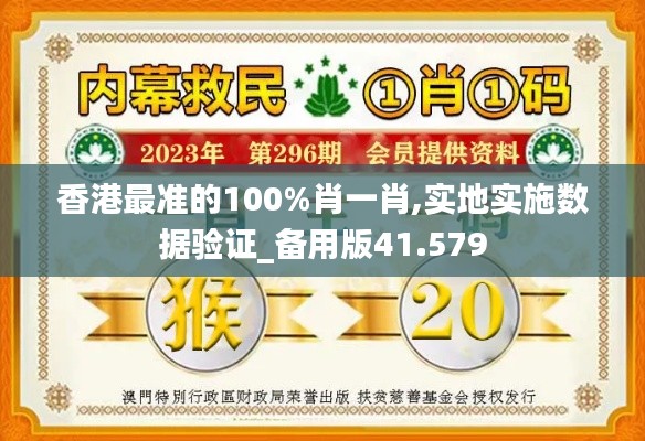 香港最准的100%肖一肖,实地实施数据验证_备用版41.579