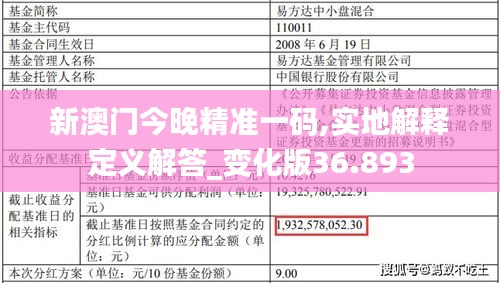 新澳门今晚精准一码,实地解释定义解答_变化版36.893