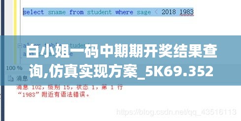 白小姐一码中期期开奖结果查询,仿真实现方案_5K69.352