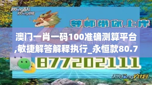 澳门一肖一码100准确测算平台,敏捷解答解释执行_永恒款80.704