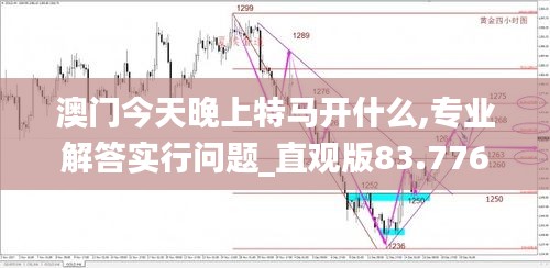 澳门今天晚上特马开什么,专业解答实行问题_直观版83.776