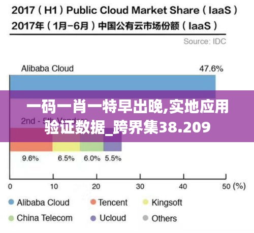 一码一肖一特早出晚,实地应用验证数据_跨界集38.209