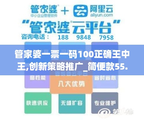 管家婆一票一码100正确王中王,创新策略推广_简便款55.951