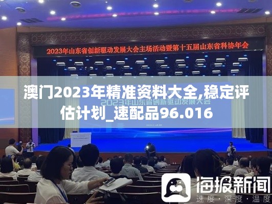 澳门2023年精准资料大全,稳定评估计划_速配品96.016