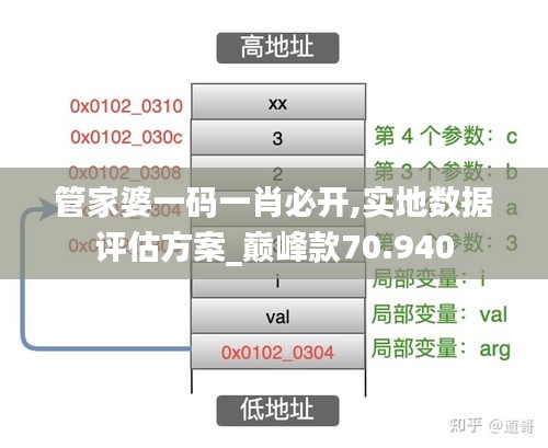 管家婆一码一肖必开,实地数据评估方案_巅峰款70.940