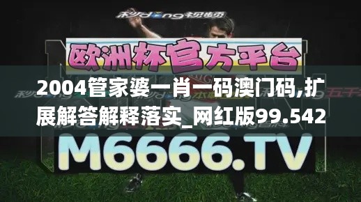 2004管家婆一肖一码澳门码,扩展解答解释落实_网红版99.542