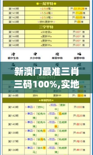 新澳门最准三肖三码100%,实地策略验证计划_半成品54.181